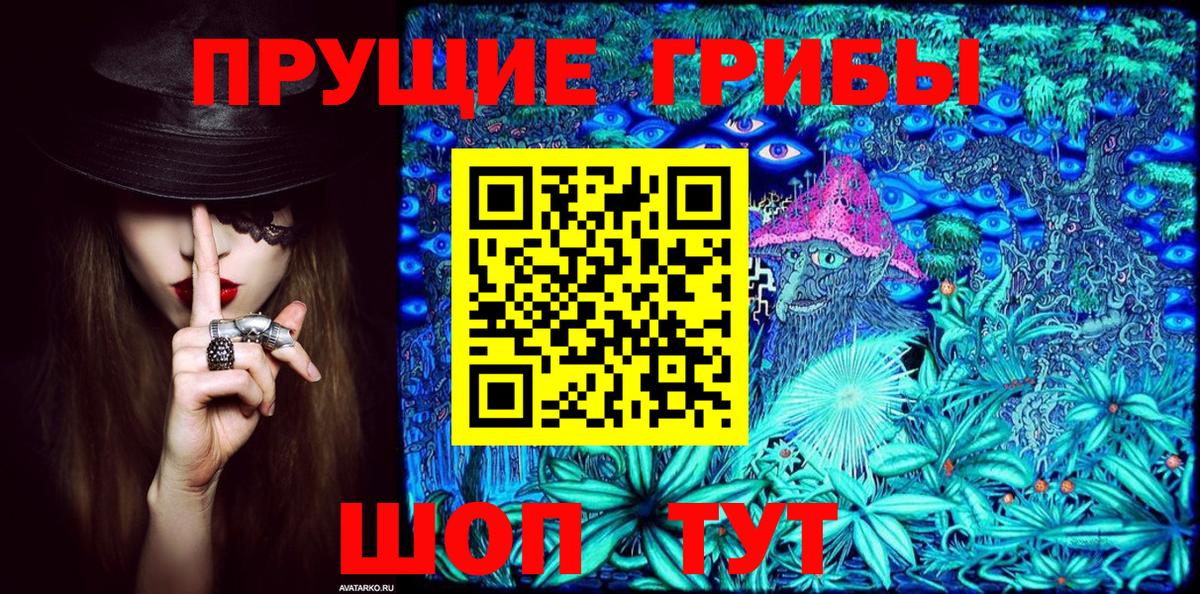 Кызыл  Псилоцибиновые грибы Cubensis  Псилоцибиновые грибы мицелий  Вход с VPN 
